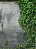 image of grave number 255997